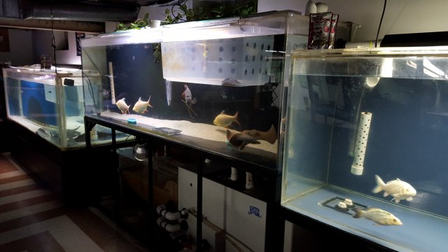 20170311_003455.jpg