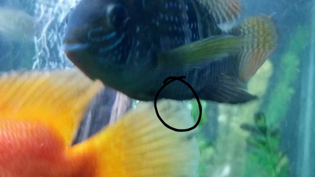 2017-09-16 21.34.57.jpg