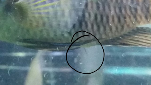 2017-09-16 21.36.36.jpg