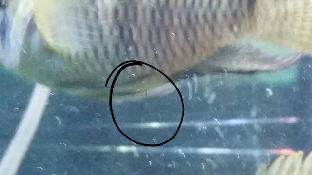 2017-09-16 21.36.12.jpg