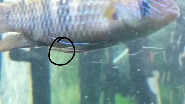 2017-09-16 21.35.31.jpg 2017-09-16 21.35.31.jpg