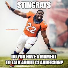 cj anderson.jpg