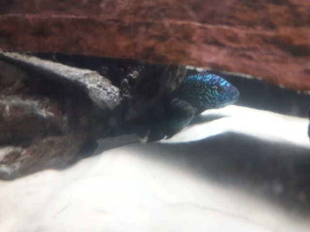 20170918_003606.jpg 20170918_003606.jpg