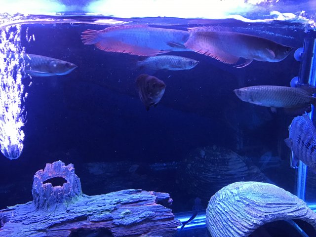 IMG_5638.JPG IMG_5638.JPG