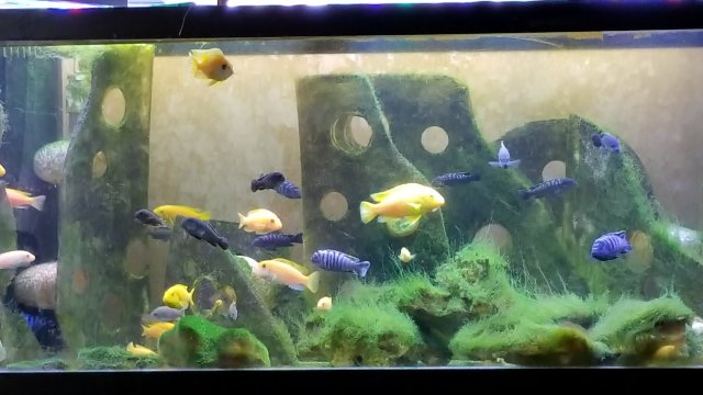 20170917_174827.jpg
