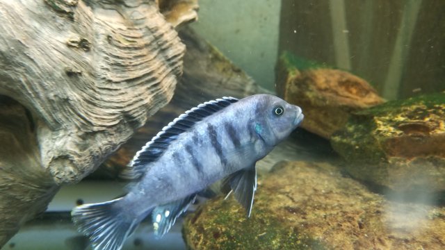 20170918_202257.jpg