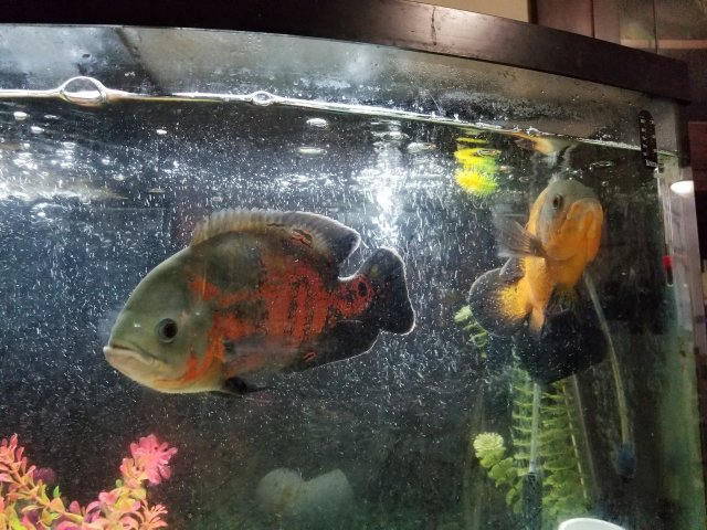20170918_202701.jpg