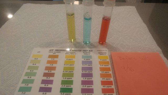 0916171606.jpg 0916171606.jpg