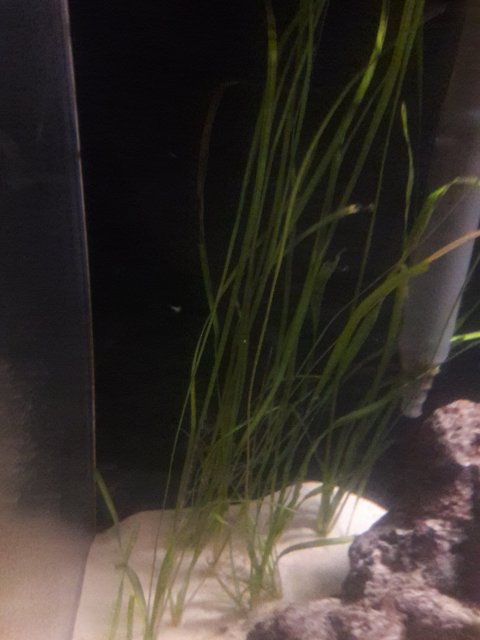 20170921_104154.jpg