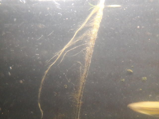 20170921_105619.jpg