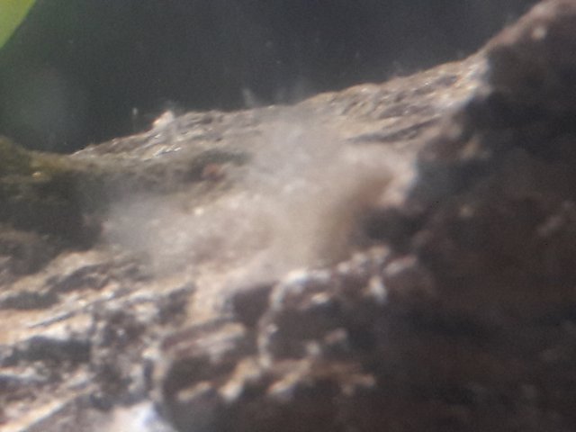 1506016866119-1540513852.jpg