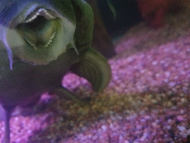 20170921_174422.jpg