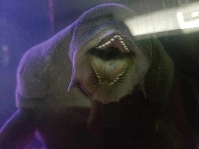 20170921_174444.jpg