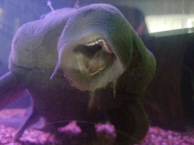20170921_174502.jpg