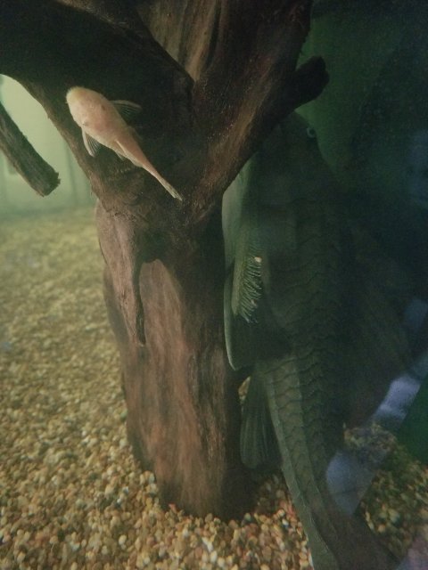 20170915_112621.jpg