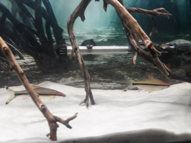 20170922_162651.jpg