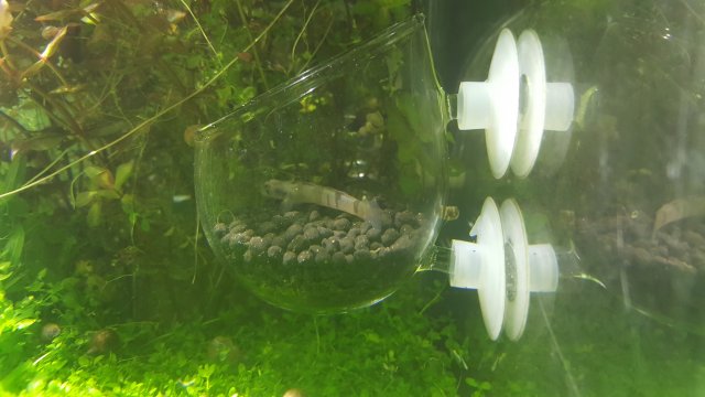 20170923_085415.jpg