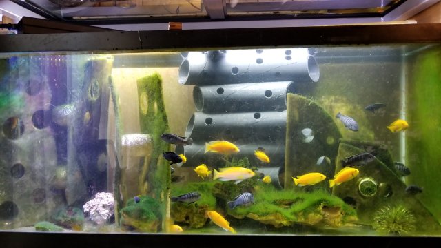 20170923_093432.jpg