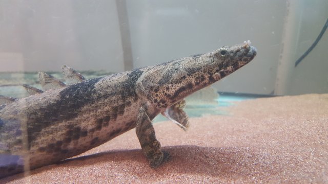 20170914_091653.jpg