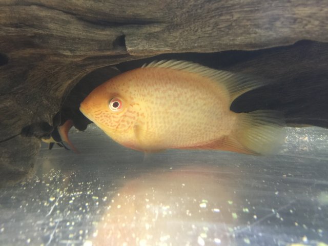 IMG_3468.JPG IMG_3468.JPG