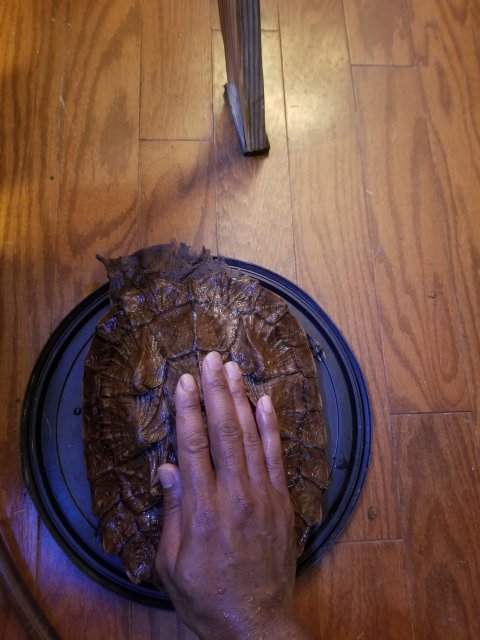 20170826_184822.jpg
