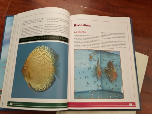 C9C7E900-3677-4DEE-8094-72114D626C35.jpeg C9C7E900-3677-4DEE-8094-72114D626C35.jpeg