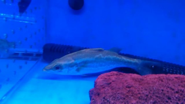 IMG_2034.JPG