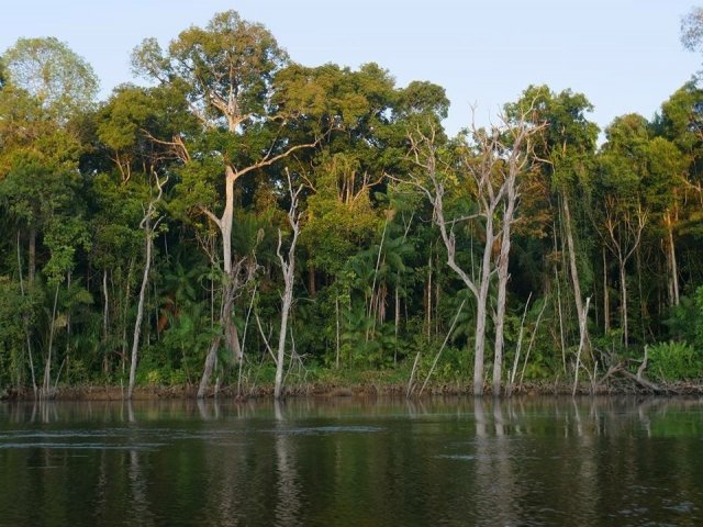 suriname1.jpg