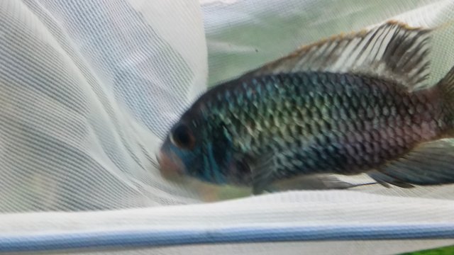 20170926_113738.jpg