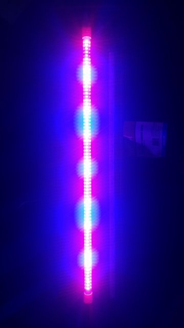 20170924_152031_HDR.jpg 20170924_152031_HDR.jpg