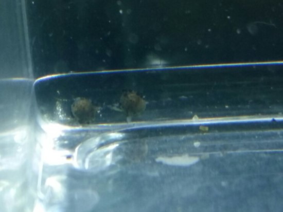 20170927_175841.jpg