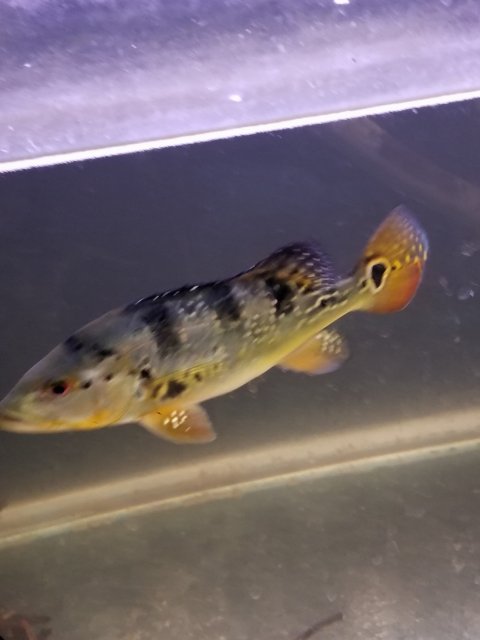 20170903_101909.jpg