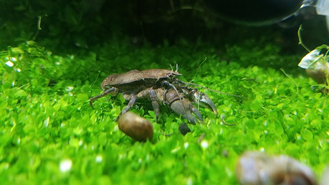 20170927_220431.jpg