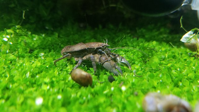 20170927_220432.jpg