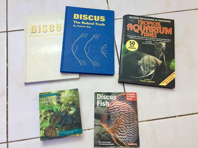 B3106AB1-A428-4BD0-A3F2-DC4385868383.jpeg B3106AB1-A428-4BD0-A3F2-DC4385868383.jpeg