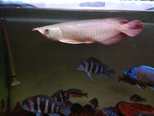 IMG_20170930_230333.jpg