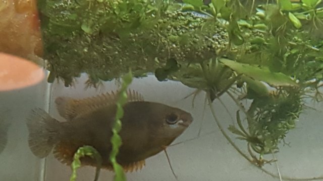20171001_133835.jpg
