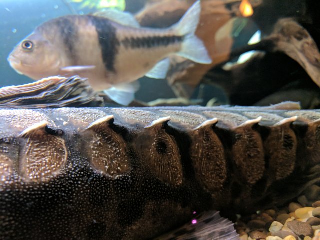 IMG_20171001_200602.jpg