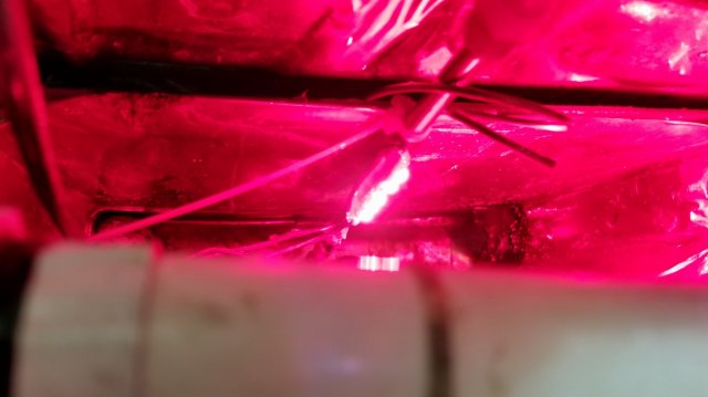 20170928_183119.jpg