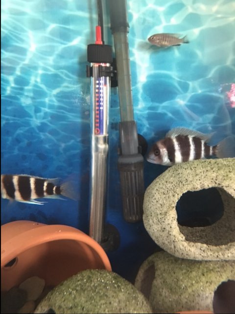 IMG_2472.JPG