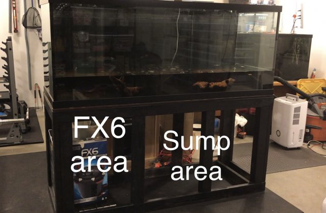 080D5080-558C-4F41-9B56-DBA4B4A625DA.jpeg