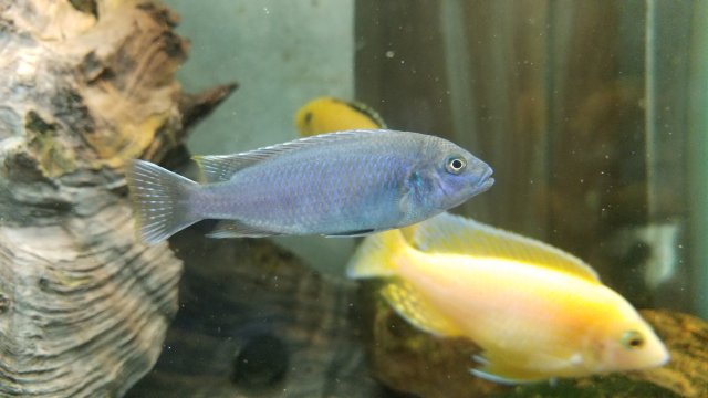 20171002_164400.jpg