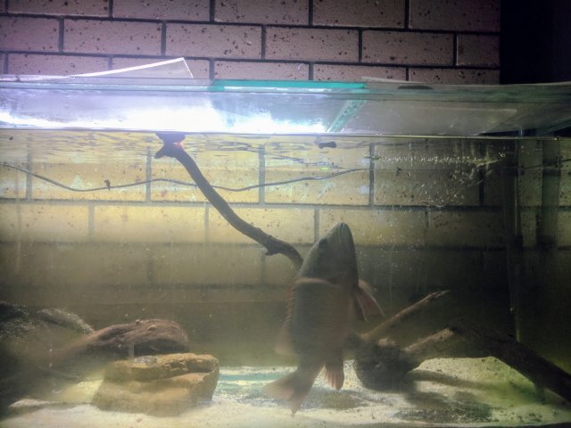 IMG_20171005_150453_2.jpg IMG_20171005_150453_2.jpg