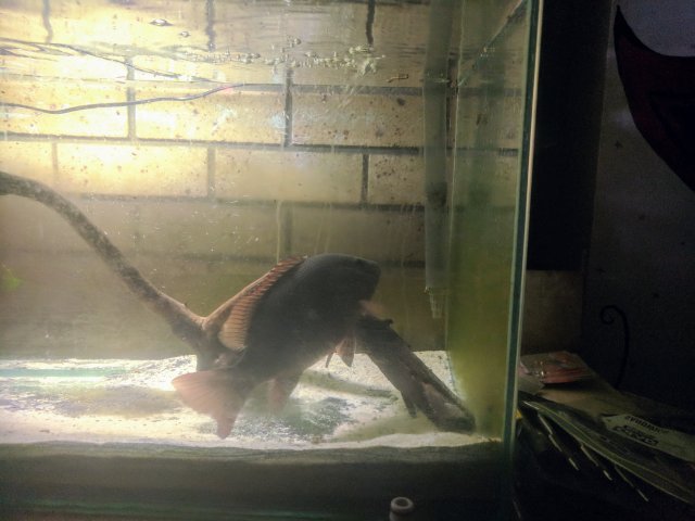 IMG_20171005_150529.jpg IMG_20171005_150529.jpg