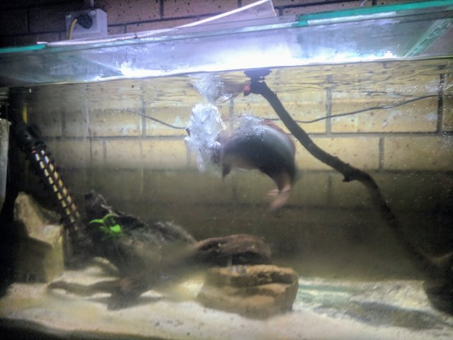 IMG_20171005_150605.jpg IMG_20171005_150605.jpg