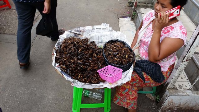 20161031_143607.jpg