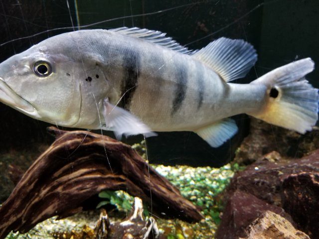 20170928_214831.jpg 20170928_214831.jpg