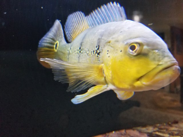 20170928_214805.jpg 20170928_214805.jpg