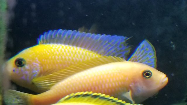 20171007_201627.jpg