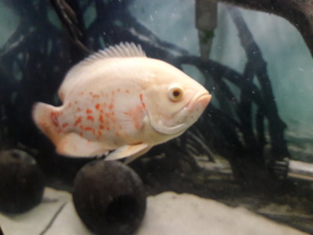 20171007_103255.jpg